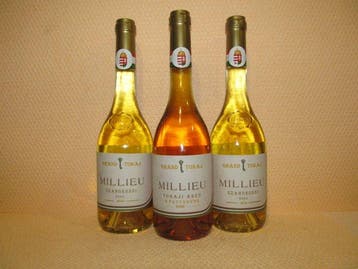 2006 Grand Tokaj Millieu Tokaji, Aszú 6 Puttonyos & 2010, Verzamelen, Nieuw