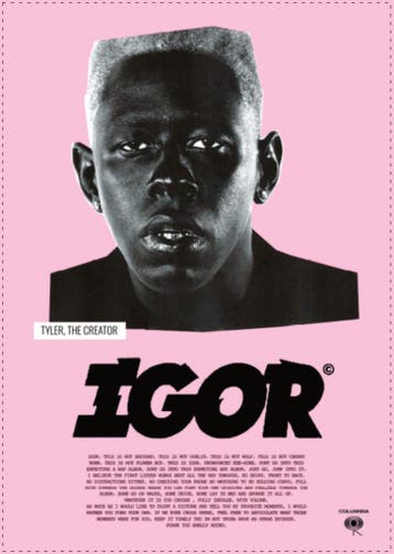 Posters - Poster Tyler, The Creator - Igor Tekst, Verzenden, Zo goed als nieuw