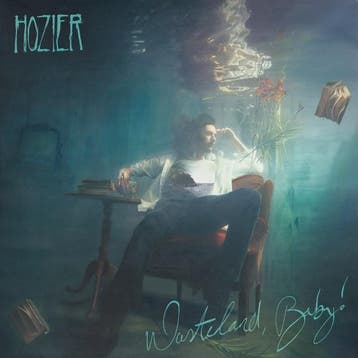 lp nieuw - hozier - Wasteland, Baby! (nieuw), Verzenden, Zo goed als nieuw, Overige formaten