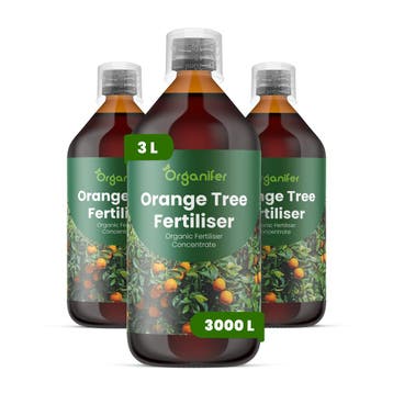 Sinaasappelboom Vloeibare Meststof - Set 3x1 liter, Verzenden, Mest