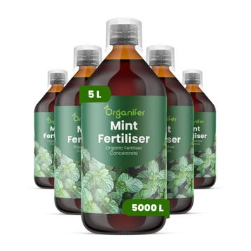 Vloeibare meststof Munt - Set 5x1 liter, Verzenden, Mest