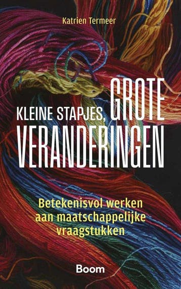 9789047302711 Kleine stapjes, grote veranderingen, Verzenden, Nieuw, Katrien Termeer