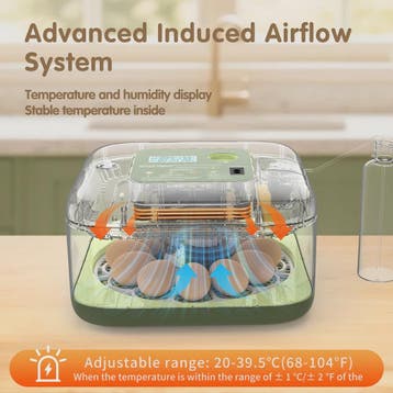 Automatische Incubator voor 12 Eieren met Temperatuur- en Vo, Verzenden, Nieuw
