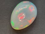 1 pcs Wit Opaal - 12.24 ct - Antwerp Laboratory for Gemstone, Sieraden, Tassen en Uiterlijk, Edelstenen, Nieuw