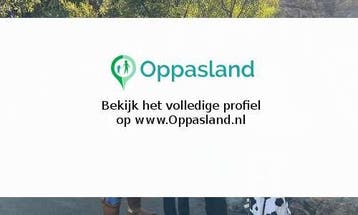 Karin zoekt een oppas in Nijmegen voor 2 kinderen., Vacatures