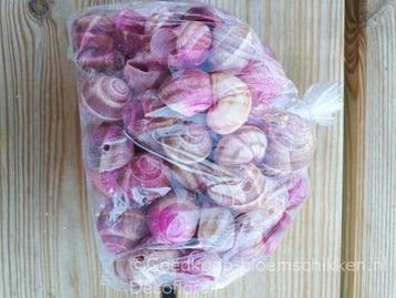 Landsnail small geboorde schelpen Fuchsia washed 250 gram, Ophalen of Verzenden, Nieuw