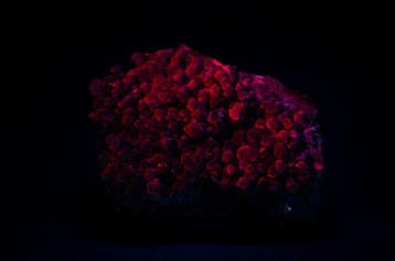 Groot kastformaat Fluorescerende Nailhead Calciet met
