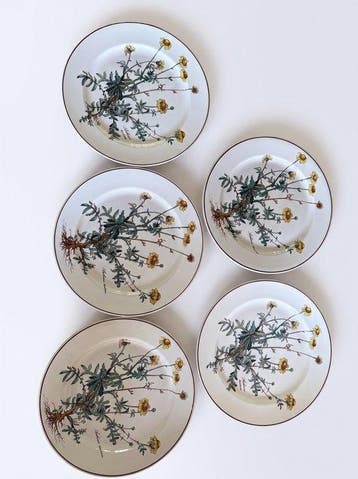 Villeroy & Boch - Tafelservies (9) - Porselein