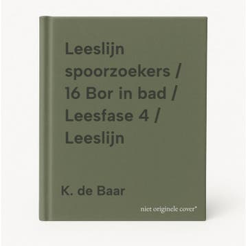 Leeslijn spoorzoekers / 16 Bor in bad / Leesfase 4 /, Boeken, Schoolboeken, Verzenden, Gelezen, K. de Baar