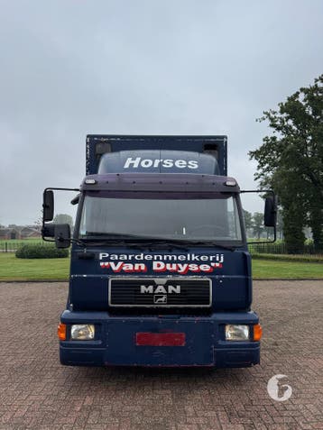 Degelijke MAN paardenvrachtwagen! Elektrische achterlader!, Ophalen, Zo goed als nieuw, Aluminium, 2-paards trailer