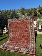 Indo Bidjar - Tapijt - 350 cm - 250 cm, Nieuw