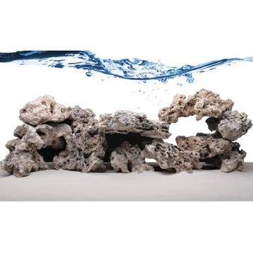 Fiji Skeleton Rock - ronde stukken (dood) levend steen (10KG, Ophalen of Verzenden, Nieuw