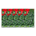 Tijm zaad | VT | 5 stuks, Tuin en Terras, Bloembollen en Zaden, Verzenden