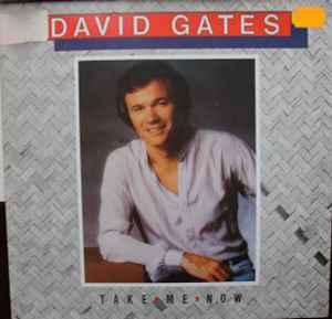 LP gebruikt - David Gates - Take Me Now (Germany, 1981), Verzenden, Zo goed als nieuw, Overige formaten