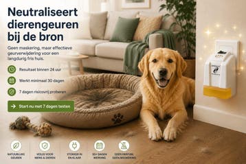 Hondengeur in huis? Verwijder nare geuren écht bij de bron