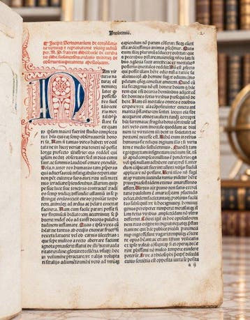 Michele de Carcano - [Incunable] Sermonarium - 1495