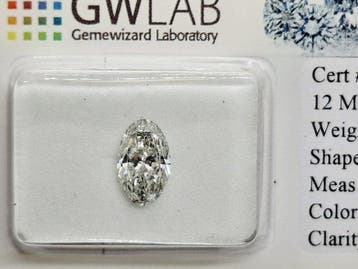 1 pcs Diamant (Natuurlijk) - 1.01 ct - Ovaal - F - SI3 -, Nieuw