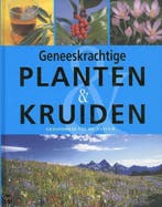 GENEESKRACHTIGE PLANTEN EN KRUIDEN 9781407523972, Verzenden, Zo goed als nieuw, EN LOHMEYER KUNKELE