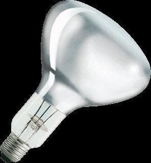 Philips Infraroodlamp met reflector - 57522725, Verzenden, Nieuw, Overige typen