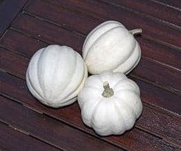 White Pearl Acorn pompoen 50 zaden, Ophalen of Verzenden, Nieuw