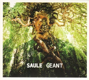 cd - saule - GEANT (nieuw), Verzenden, Zo goed als nieuw
