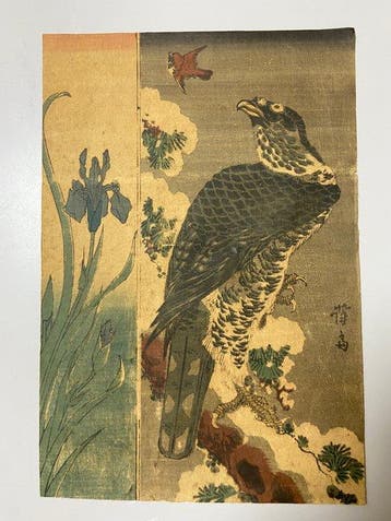 Matsu to Taka, Ayame no Zu - Keisai Eisen  (1790-1848) -, Antiek en Kunst