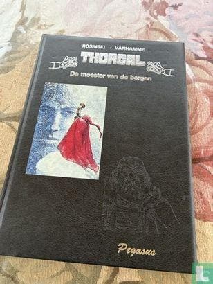 Thorgal - De meester van de bergen - 1994, Boeken, Eén stripboek, Verzenden, Zo goed als nieuw, Hamme, Jean van.