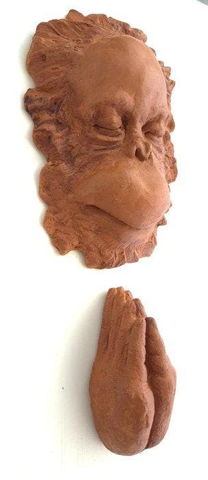 Maria Eugenia Piacentini - Involution 2026 - orangutan