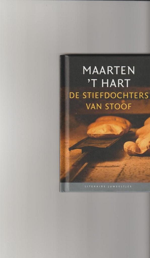De stiefdochters van Stoof / Literaire Juweeltjes, Boeken, Romans, Gelezen, Verzenden