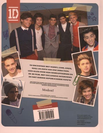Het nieuwe officiele fanboek / One Direction 9789089419545, Verzenden, Gelezen, Sarah Delmega