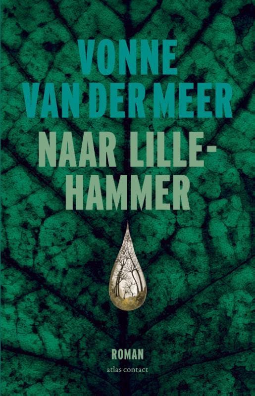 Naar Lillehammer 9789025470593 Vonne van der Meer, Boeken, Romans, Gelezen, Verzenden