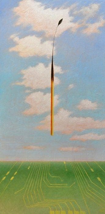Davide Nunziante - Scheda madre natura