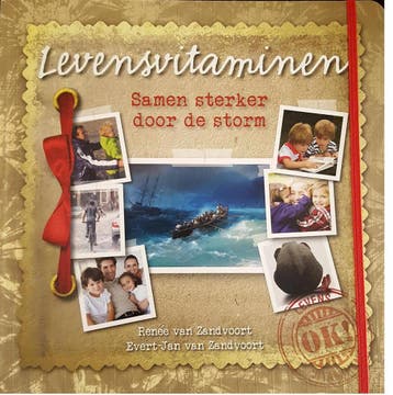 Levensvitaminen - Renee van Zandvoort 9789070644475, Boeken, Verzenden, Zo goed als nieuw, Renee van Zandvoort