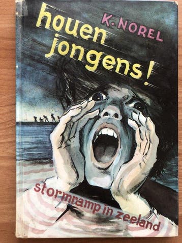 Houen jongens - K. Norel 9789026642784, Verzenden, Gelezen, K. Norel