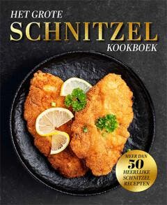 Het grote schnitzelkookboek - Liesbeth Willemars-van Bodegom, Verzenden, Gelezen, Liesbeth Willemars-van Bodegom