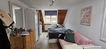 Te huur: Kamer Hogewoerd in Leiden