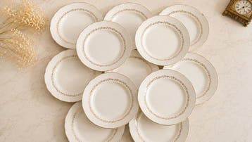 Villeroy & Boch - France-Saar (1947-1956) - Tafelservies