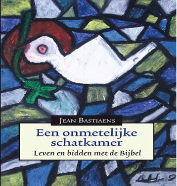 Een onmetelijke schatkamer - Jean Bastiaens 9789061731511, Verzenden, Gelezen, Jean Bastiaens