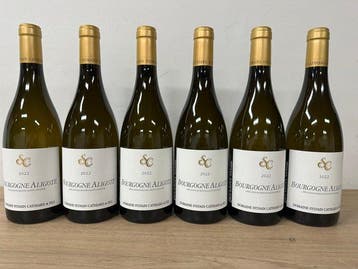 2022 Domaine Sylvain Cathiard & Fils, Bourgogne Aligoté -, Verzamelen, Nieuw