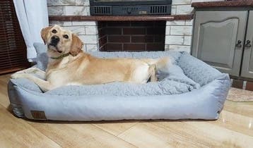 Hondenmand XXL 120x90cm | Retourdeal 52% Korting, Ophalen of Verzenden, Zo goed als nieuw, Overige