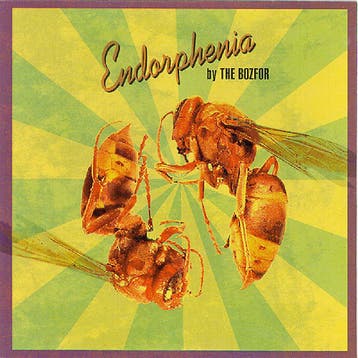cd - The Bozfor - Endorphenia, Verzenden, Zo goed als nieuw