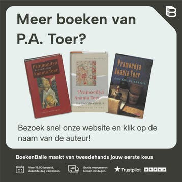 Meisje van het strand - P.A. Toer 9789052267661, Verzenden, Gelezen, P.A. Toer
