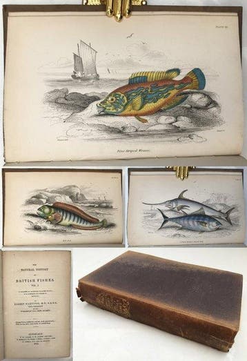 William Jardine, Robert Hamilton - The Naturalists Library:, Antiek en Kunst