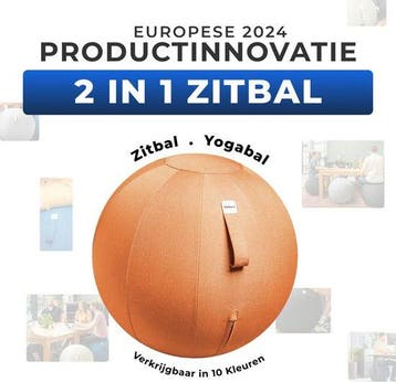 2dekans | Backerz Zitbal 65 CM - Zitballen met Hoes Linnen -, Ophalen of Verzenden, Zo goed als nieuw
