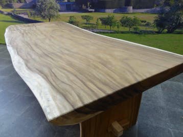 Boomstamtafel 250x110xH77,5 cm - bladdikte 10 cm, Ophalen of Verzenden, Nieuw