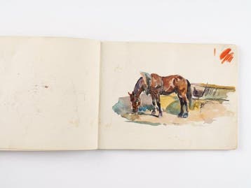 Wilhelm Gotthelf Höhnel (1871–1941) - Sketchbook of 8