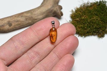 .925 Zilver Burmees barnsteen hanger - met fossiele