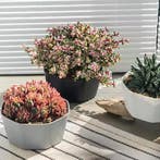 Bloempot met Bodembak – Kunststof Plantenpot voor Binnen, Tuin en Terras, Verzenden, Nieuw