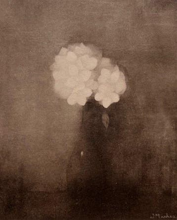 Jan Mankes (1889-1920) - Jasmijn in Vaas
