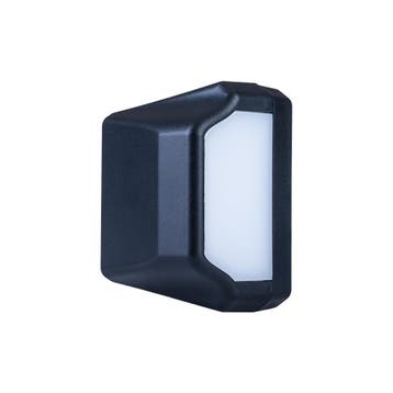 Horpol LED Kentekenverlichting 12-24V Zwart NEON-Look LTD 28, Auto-onderdelen, Ophalen of Verzenden, Nieuw